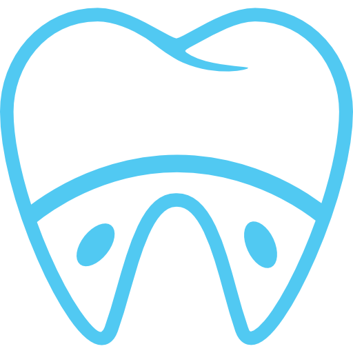 molar-and-roots